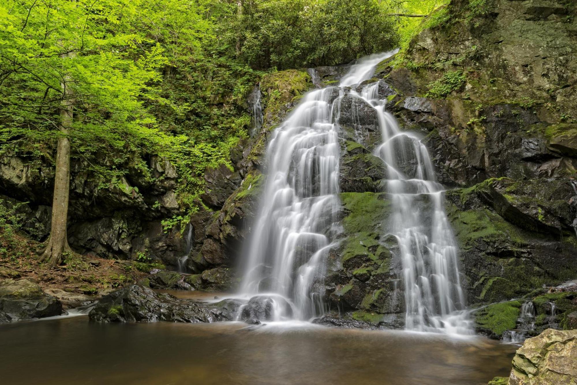 River Breeze, Wifi, 1089 Free Tickets Each Paid Day, Dollywood And More Пиджен-Фордж Экстерьер фото