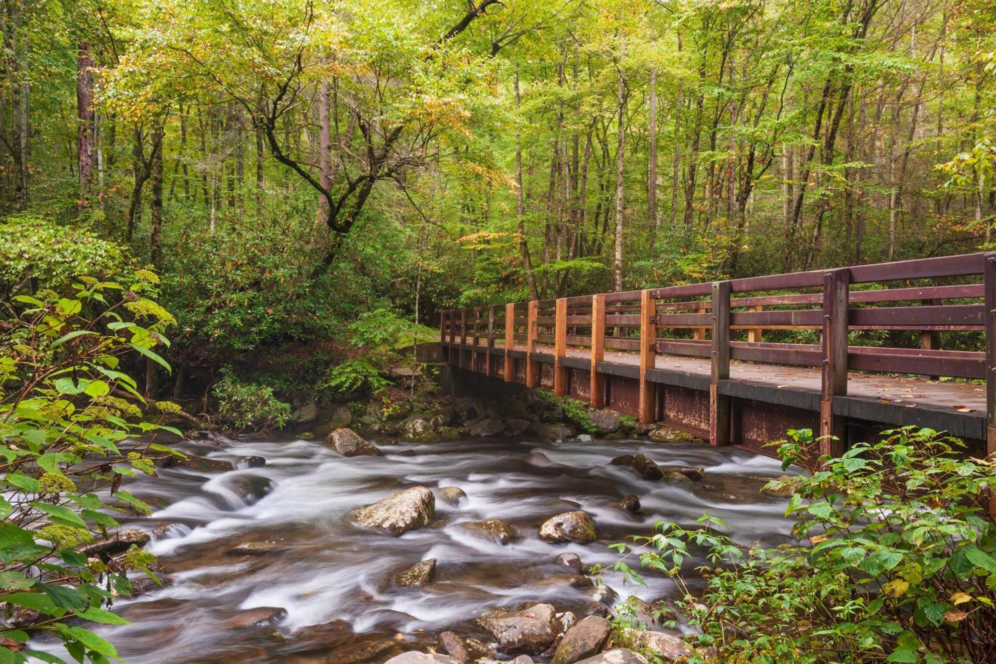 River Breeze, Wifi, 1089 Free Tickets Each Paid Day, Dollywood And More Пиджен-Фордж Экстерьер фото
